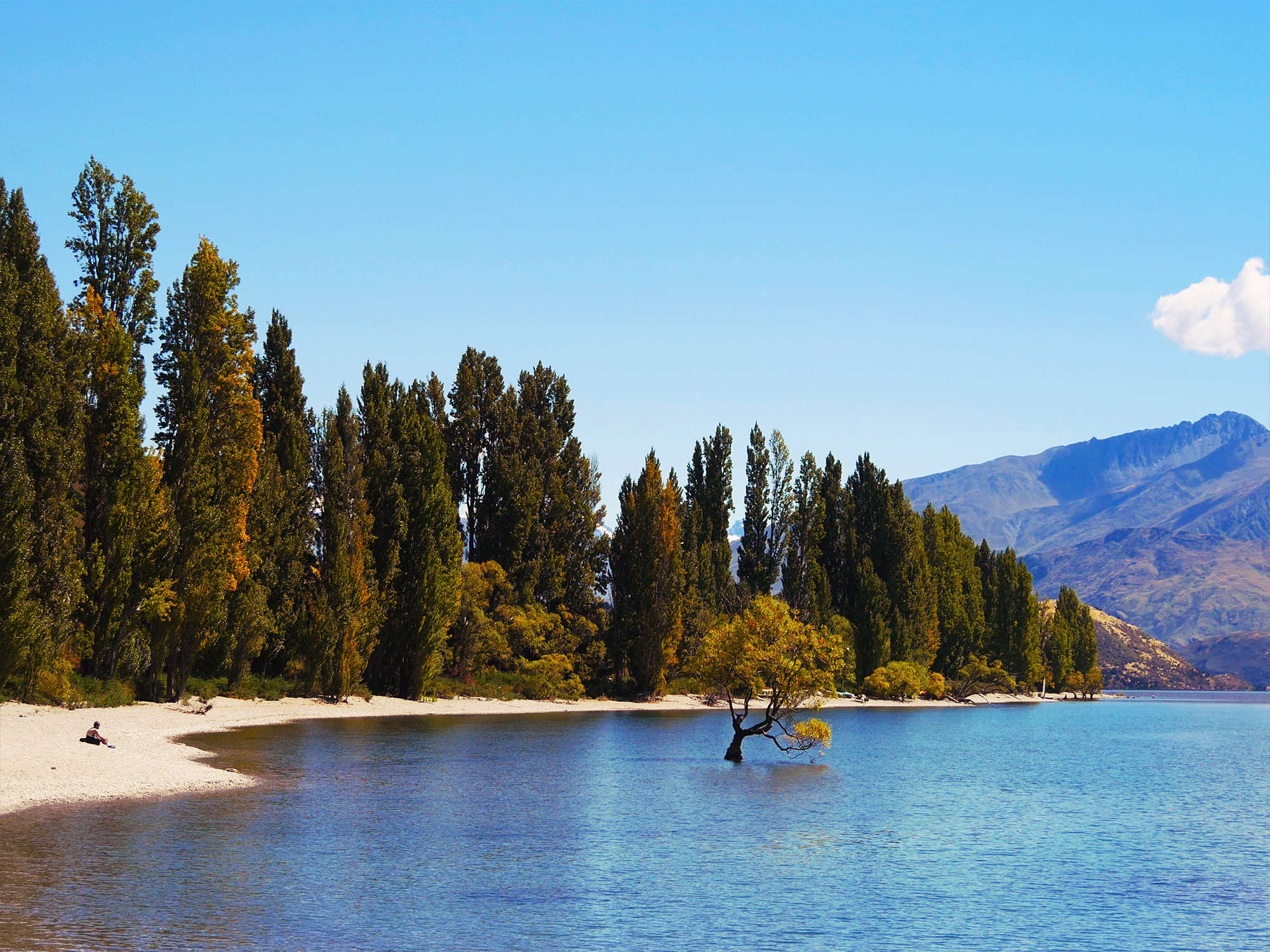 Wanaka - Otago - New Zealand - © Claire Blumenfeld