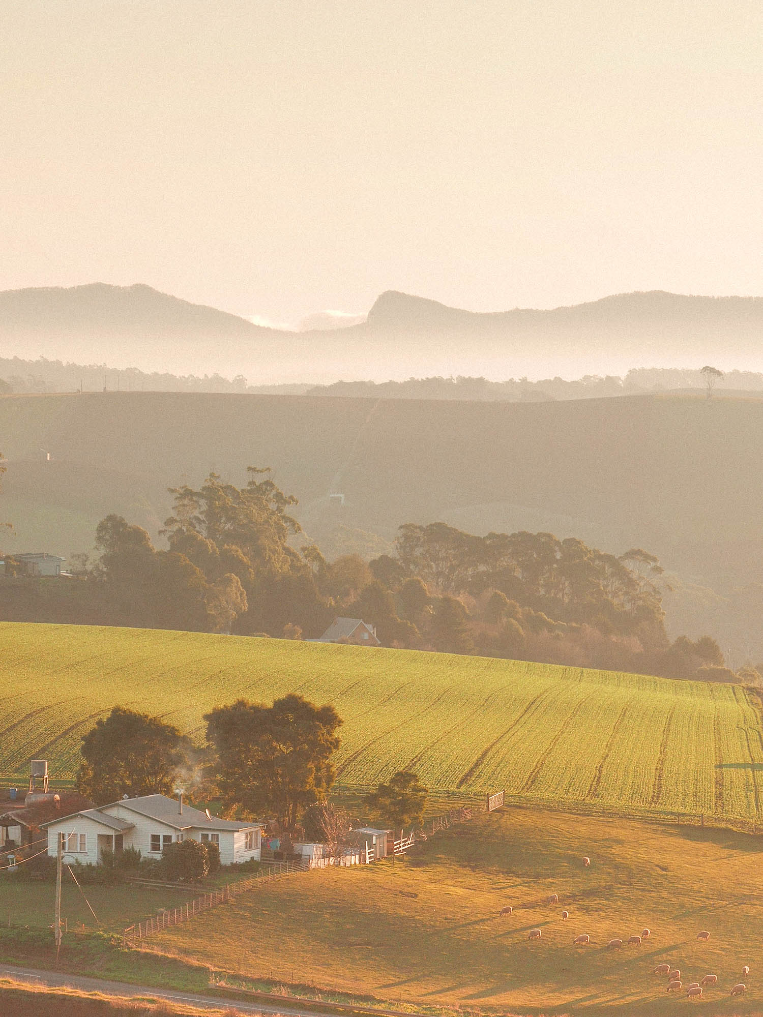 Forth - Tasmania - Australia - © Claire Blumenfeld