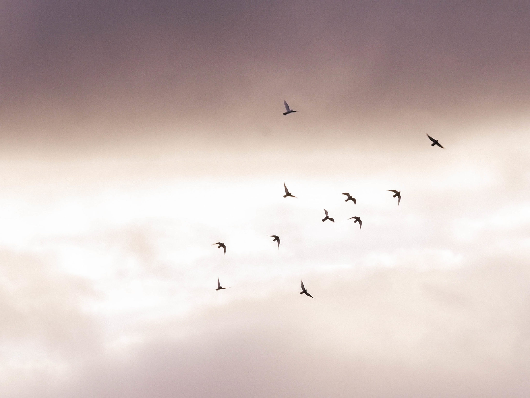 Hobart - Tasmania - Australia - © Claire Blumenfeld