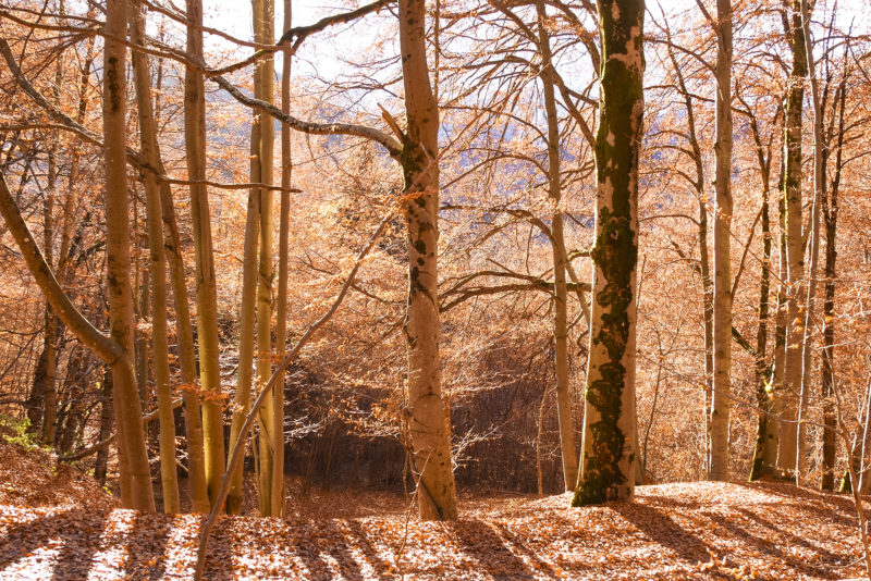 Portfolio - Chamonix - France - © Claire Blumenfeld