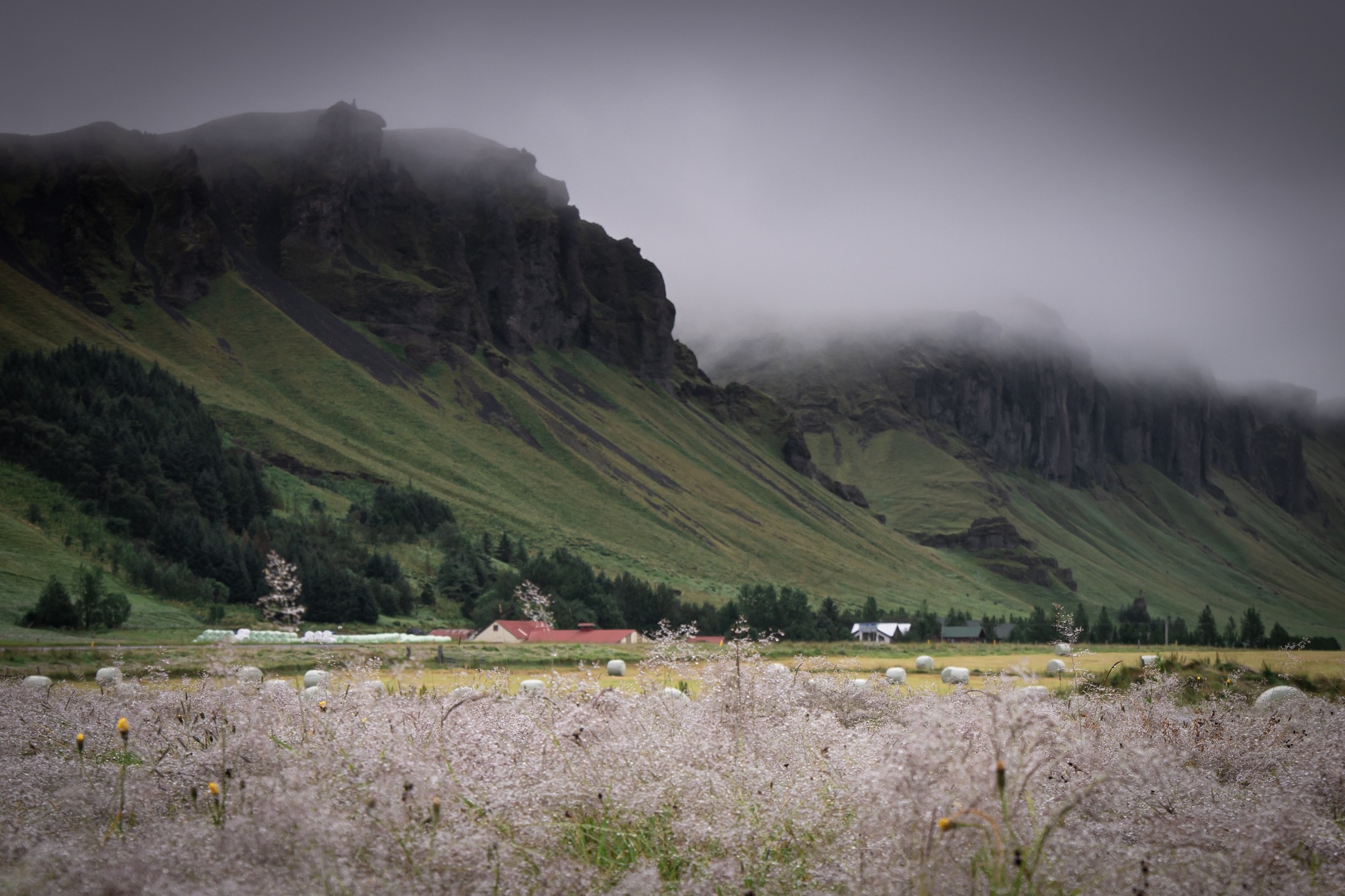 Falaises dans la brume - Côte Sud - Islande - © Claire Blumenfeld