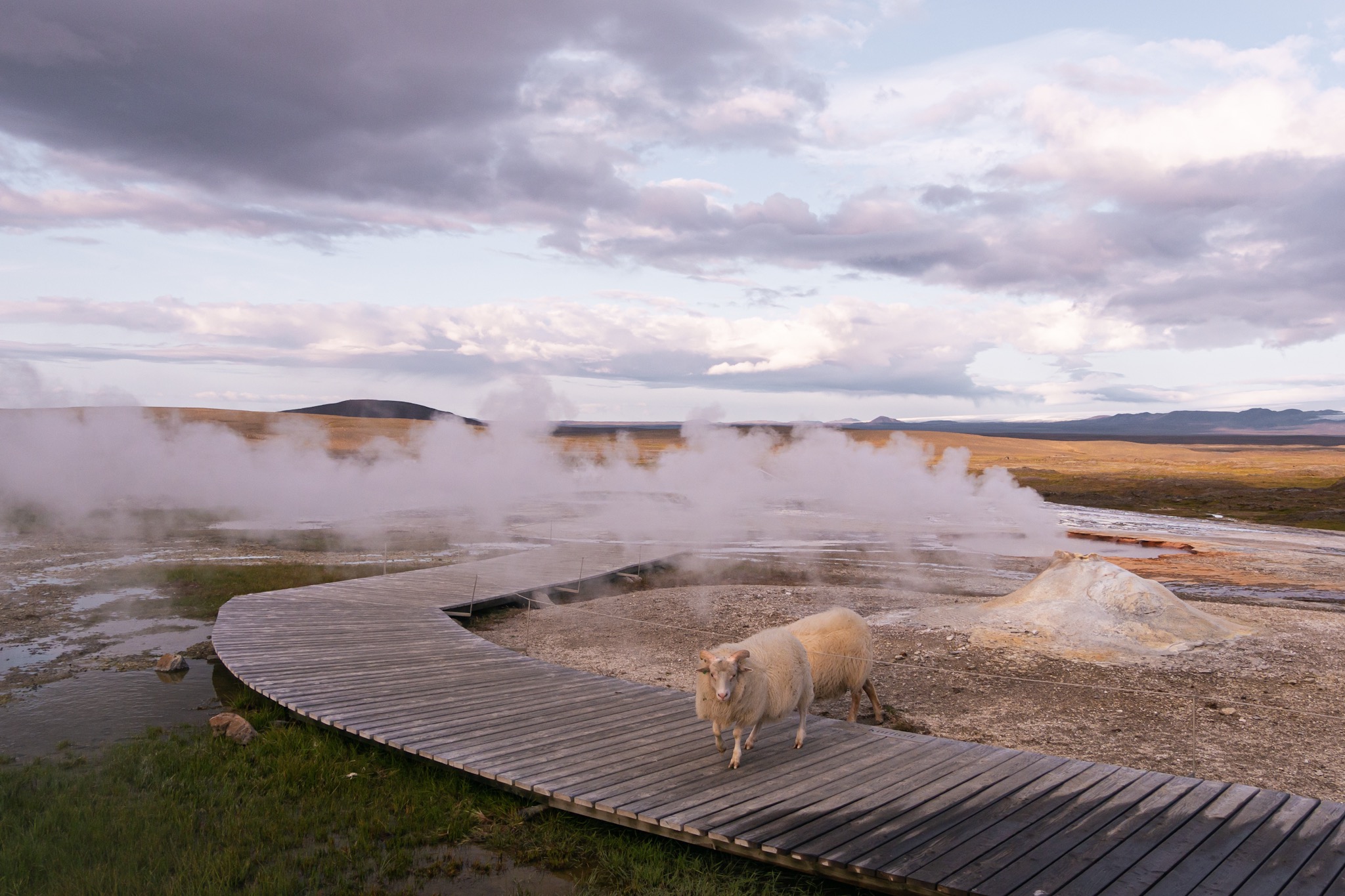 Hveravellir - Route F35 - Hautes Terres - Islande - © Claire Blumenfeld