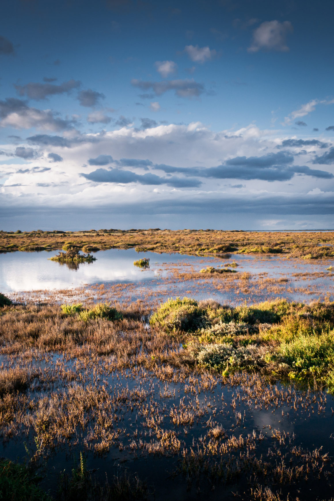 Camargue, France © Claire Blumenfeld