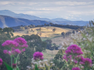 La vue depuis la maison de Pauline, Tumbarumba, New South Wales, Australie © Claire Blumenfeld