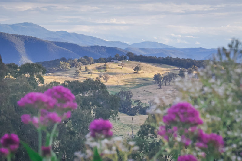 The view from Pauline's house, Tumbarumba, New South Wales, Australia © Claire Blumenfeld