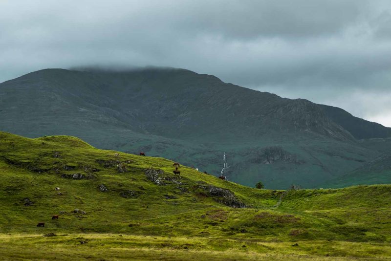 Highlands, Écosse © Claire B. - Merci de ne pas utiliser sans autorisation