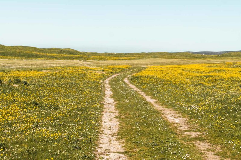 South Uist, Hébrides extérieures, Écosse © Claire B. - Merci de ne pas utiliser sans autorisation