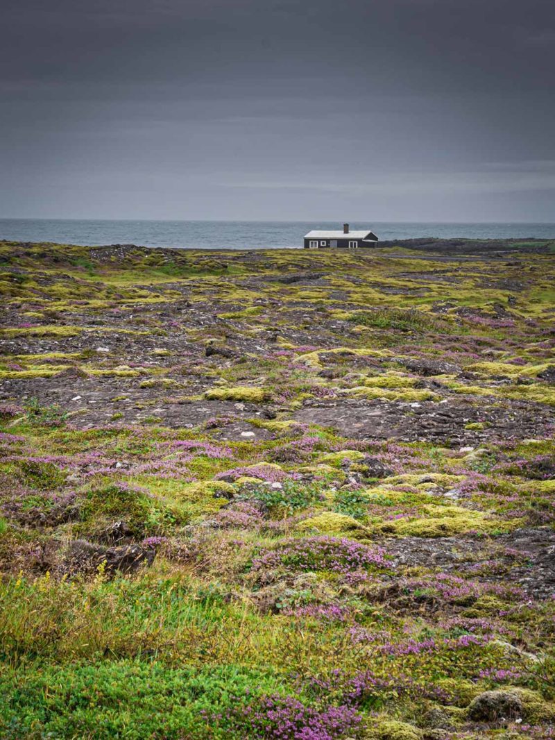 Reykjanes peninsula, Iceland © Claire B. - Please do not use without authorization