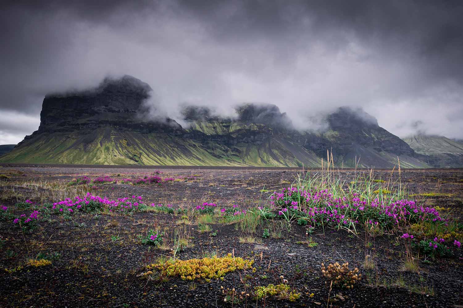 Côte sud, Islande © Claire B. - Merci de ne pas utiliser sans autorisation