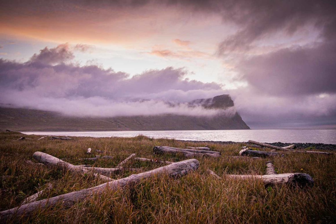 Hornstrandir, Islande © Claire B. - Merci de ne pas utiliser sans autorisation