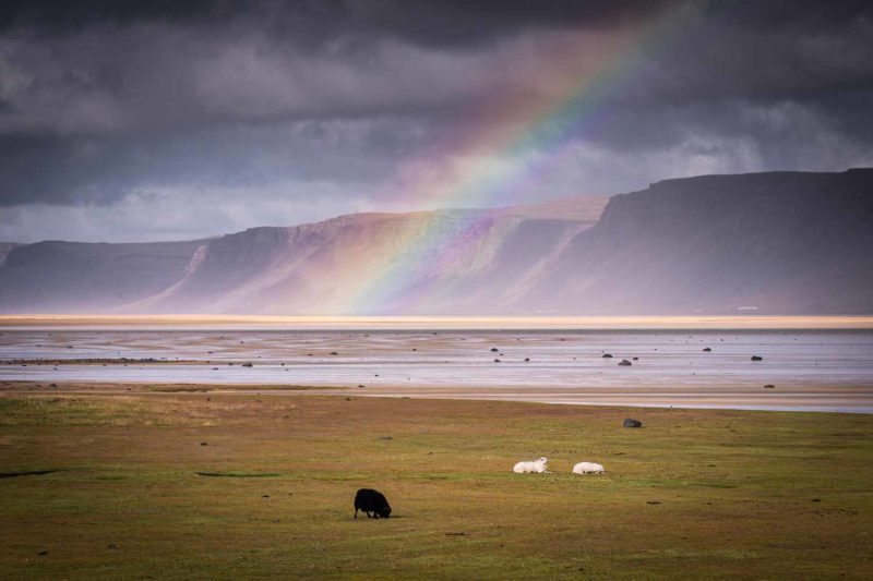 Raudasandur beach, westfjords, Iceland © Claire B. - Please do not use without authorization