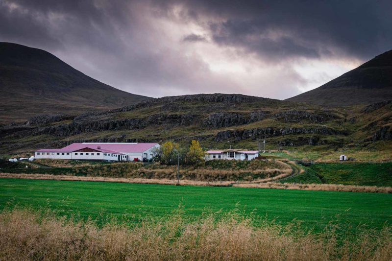 Dairy farm, Búðardalur, Iceland © Claire B. - Please do not use without authorization