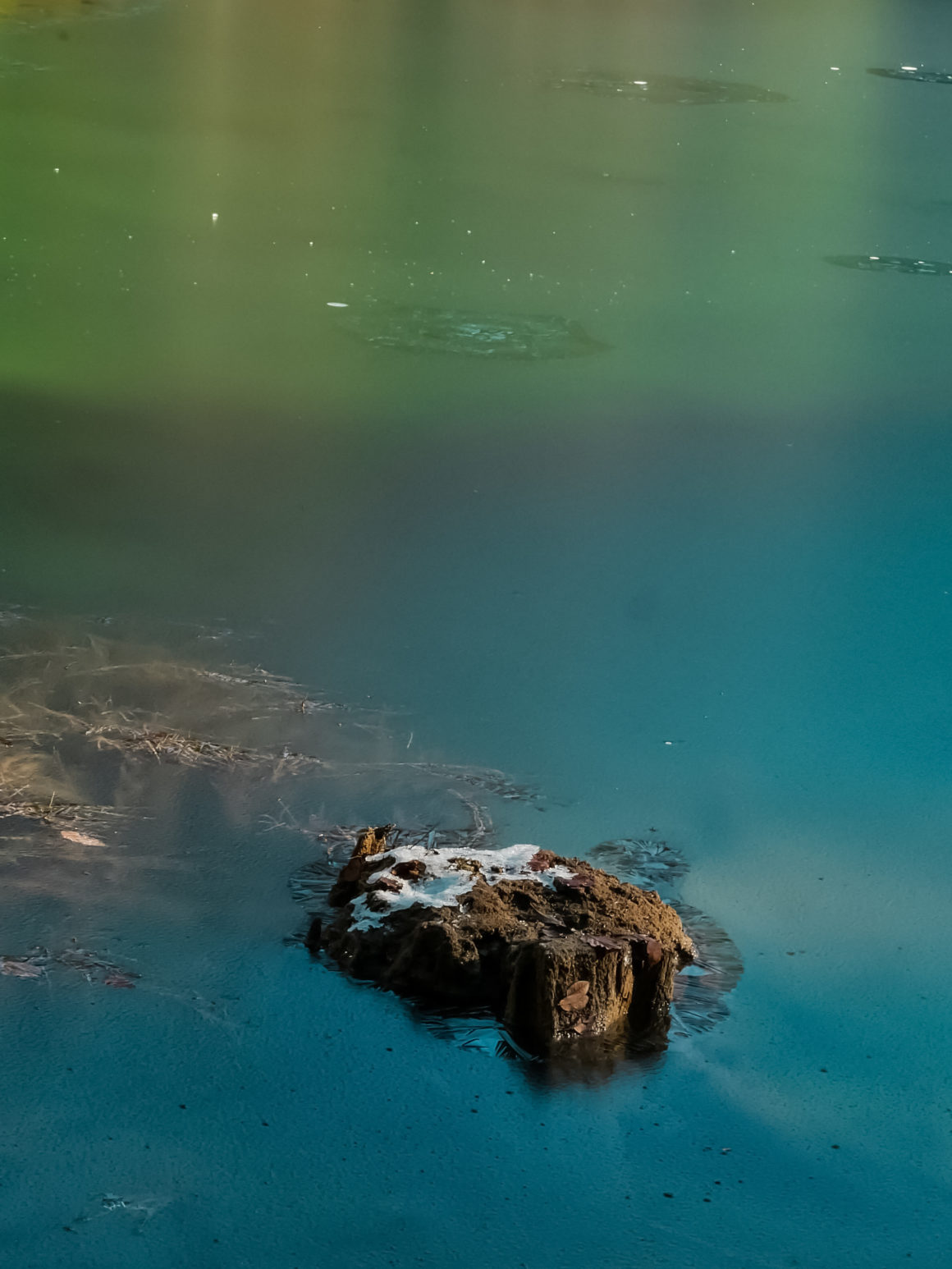 The Lac vert, Servoz, France © Claire Blumenfeld