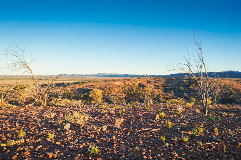 Arkaroola Wilderness Sanctuary, South Australia © Claire Blumenfeld