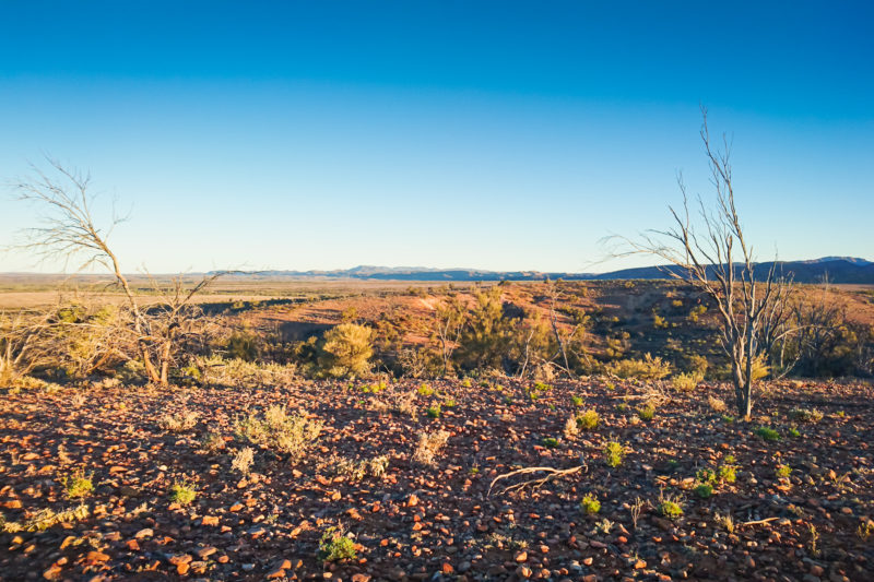 Arkaroola Wilderness Sanctuary, Australie Méridionnale © Claire Blumenfeld