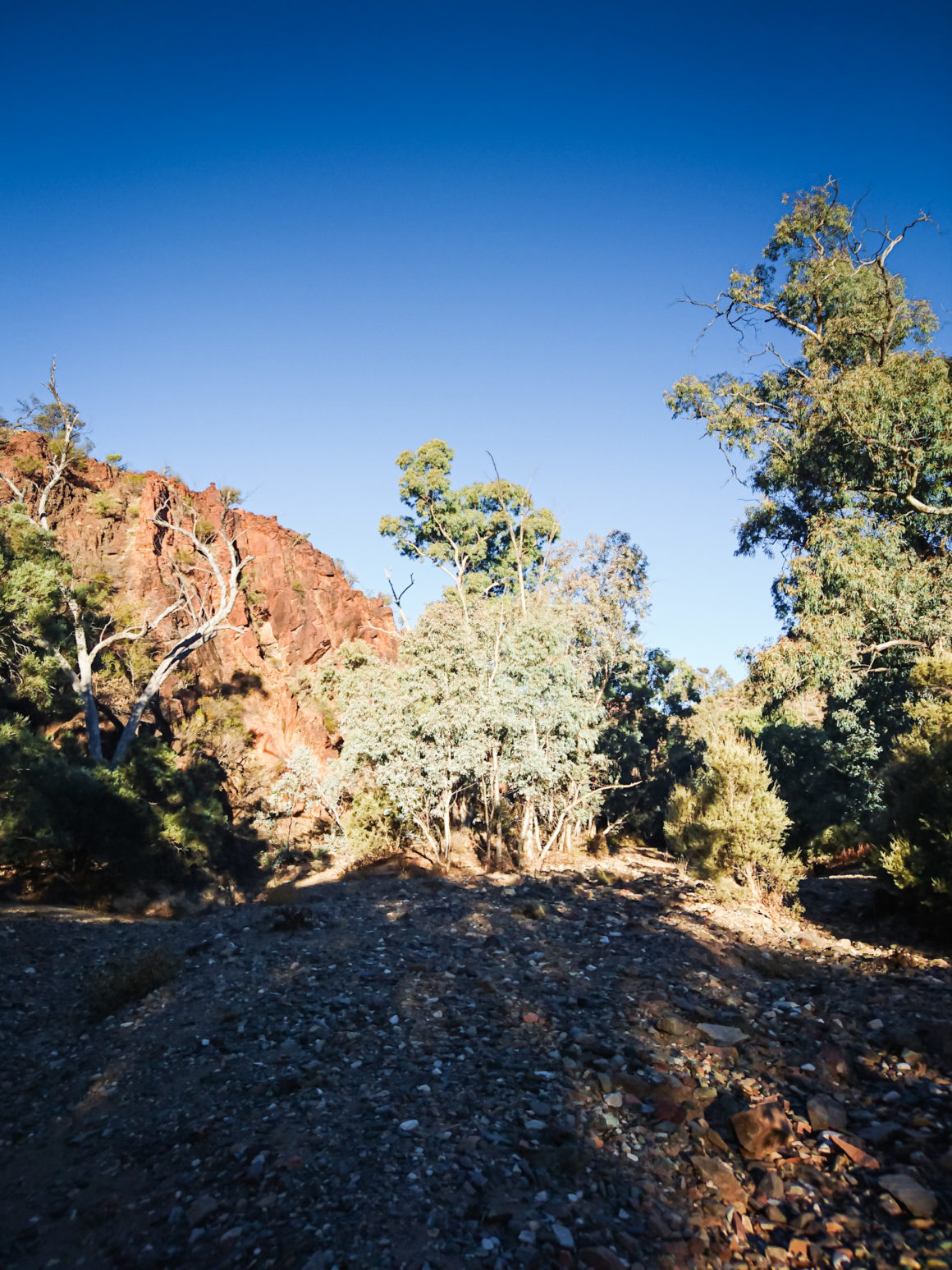 Arkaroola Wilderness Sanctuary, Australie Méridionnale © Claire Blumenfeld