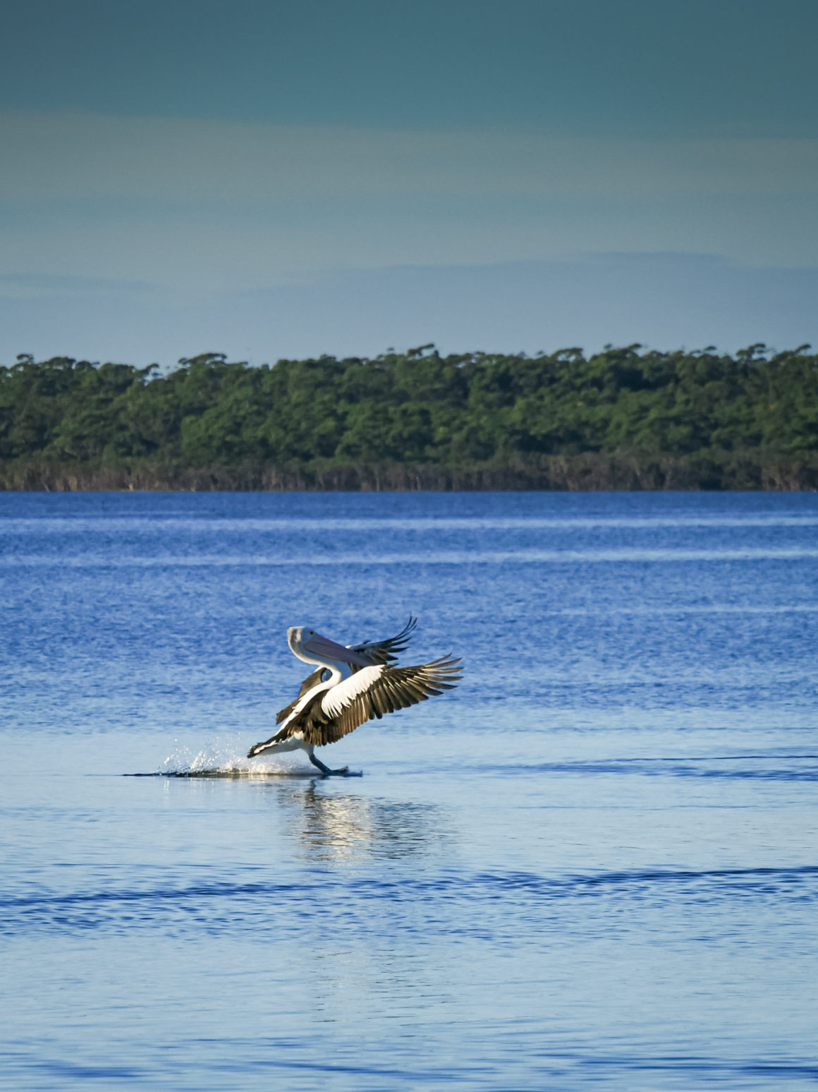 Tamboon Inlet, Australie © Claire Blumenfeld
