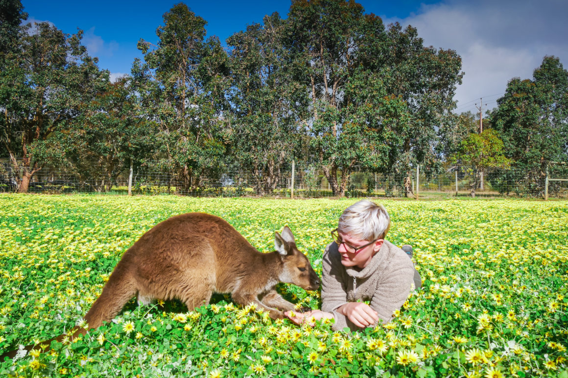 Wildlife Park, Kangaroo Island, South Australia © Claire Blumenfeld