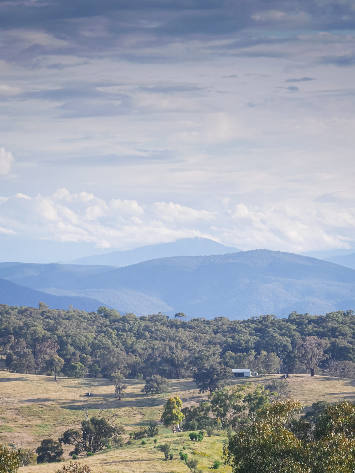 The view from Pauline's house, Tumbarumba, New South Wales, Australia © Claire Blumenfeld
