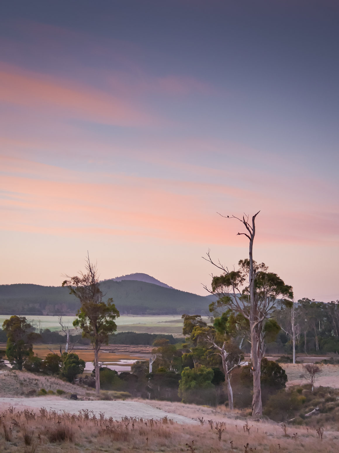 Tasmania © Claire Blumenfeld