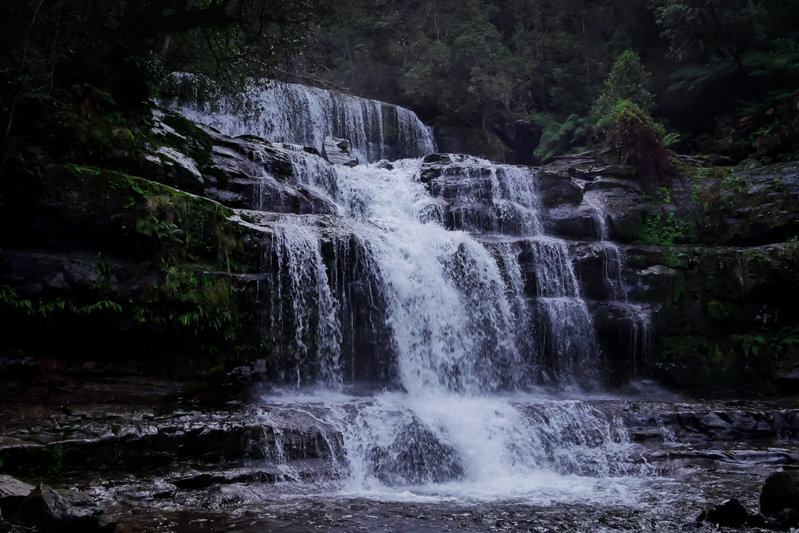 Liffey Falls, Tasmanie © Claire Blumenfeld