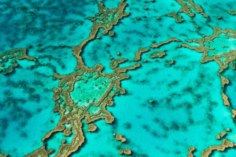 Great Barrier Reef, Queensland, Australia © Claire Blumenfeld
