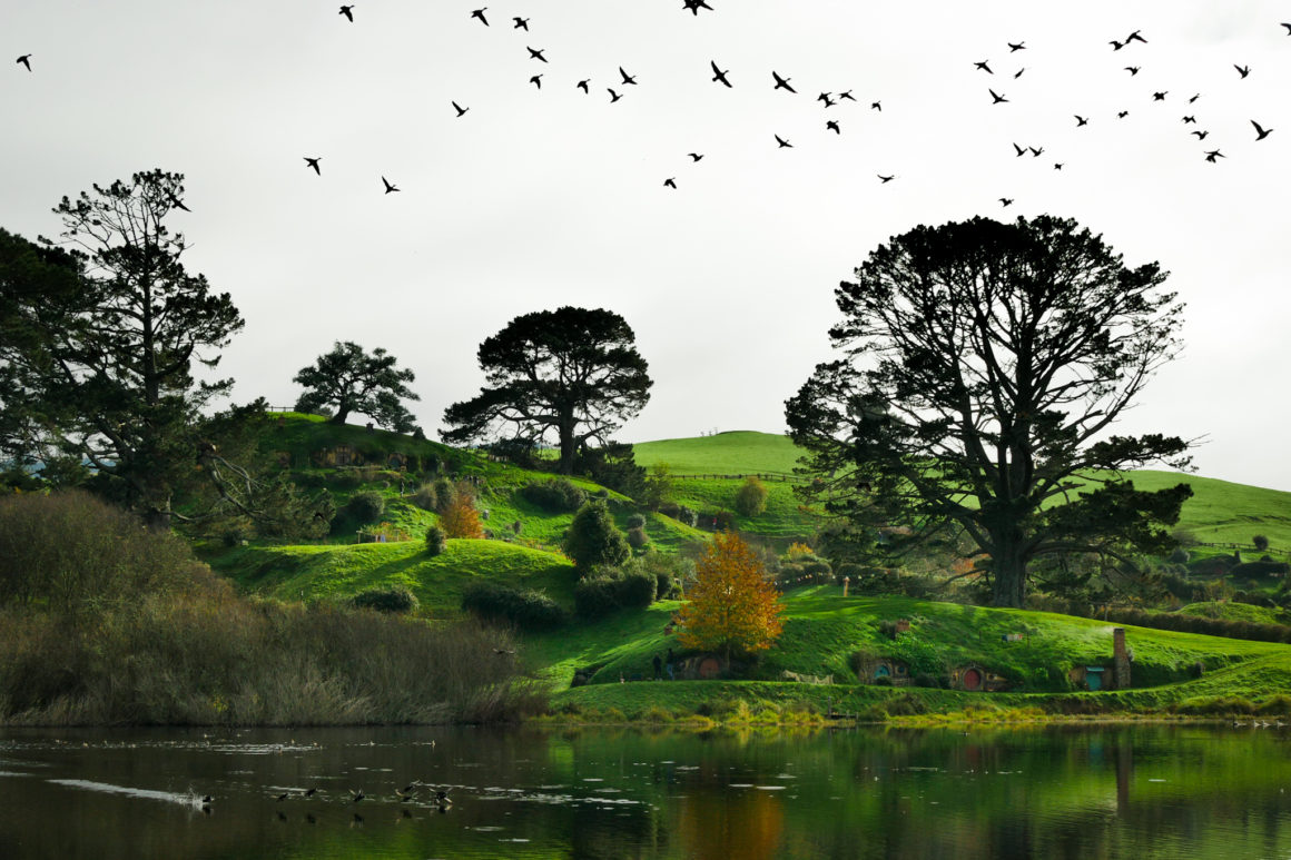 Hobbiton, Île du Nord, Nouvelle-Zélande © Claire Blumenfeld