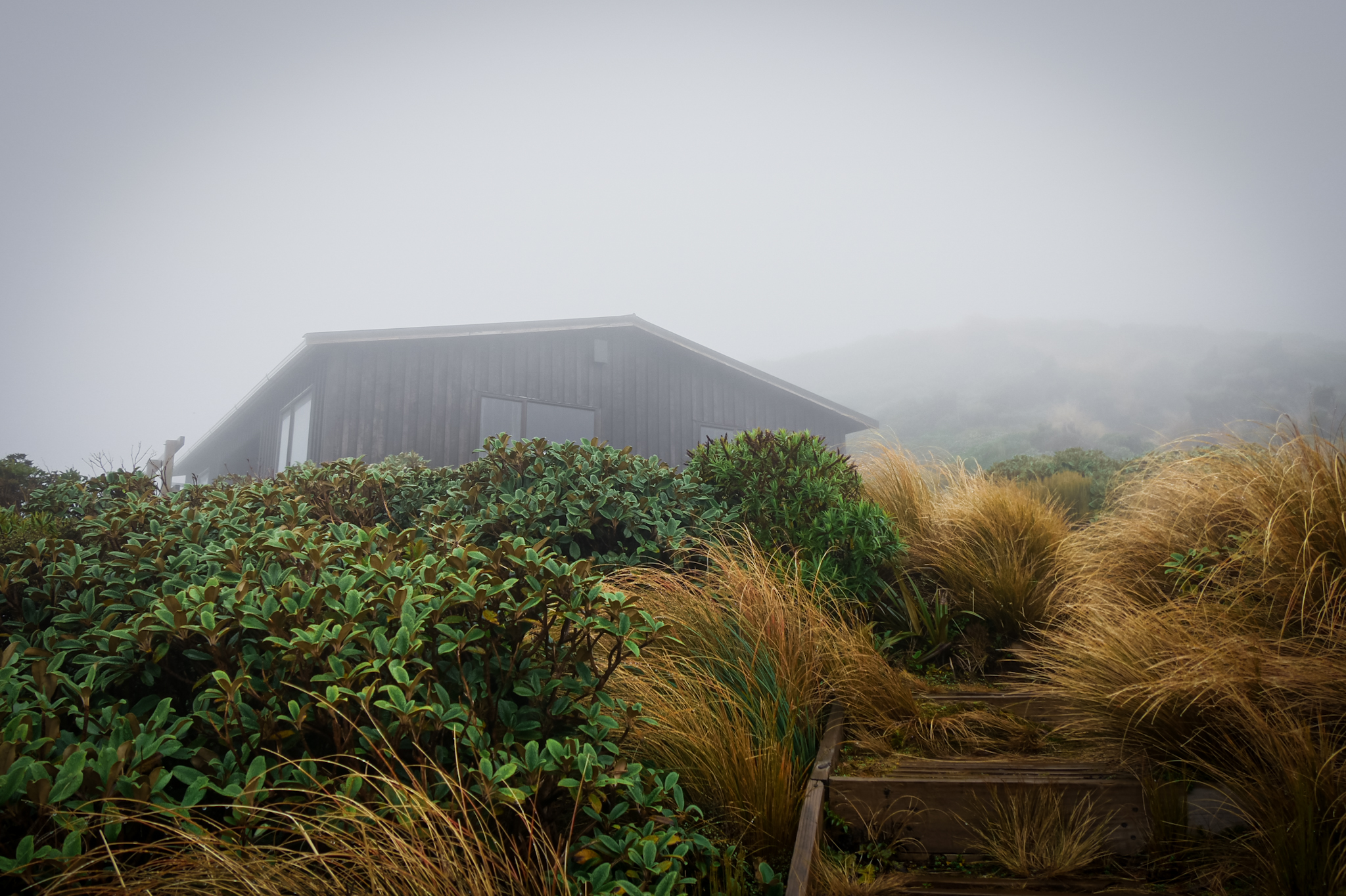 New Plymouth, Île du Nord, Nouvelle-Zélande © Claire Blumenfeld