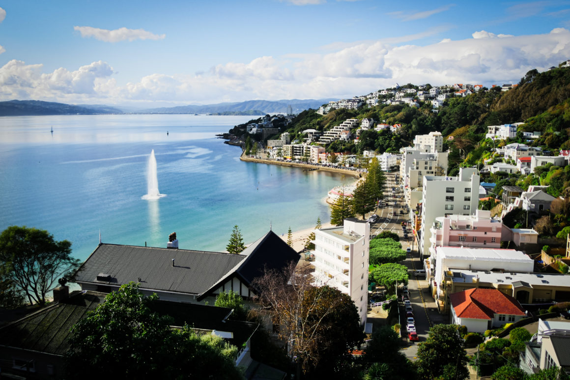 Wellington, North Island, New Zealand © Claire Blumenfeld