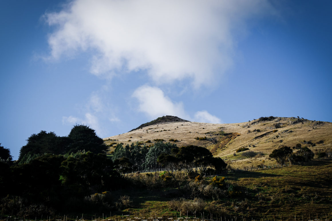Otago, Île du Sud, Nouvelle-Zélande © Claire Blumenfeld
