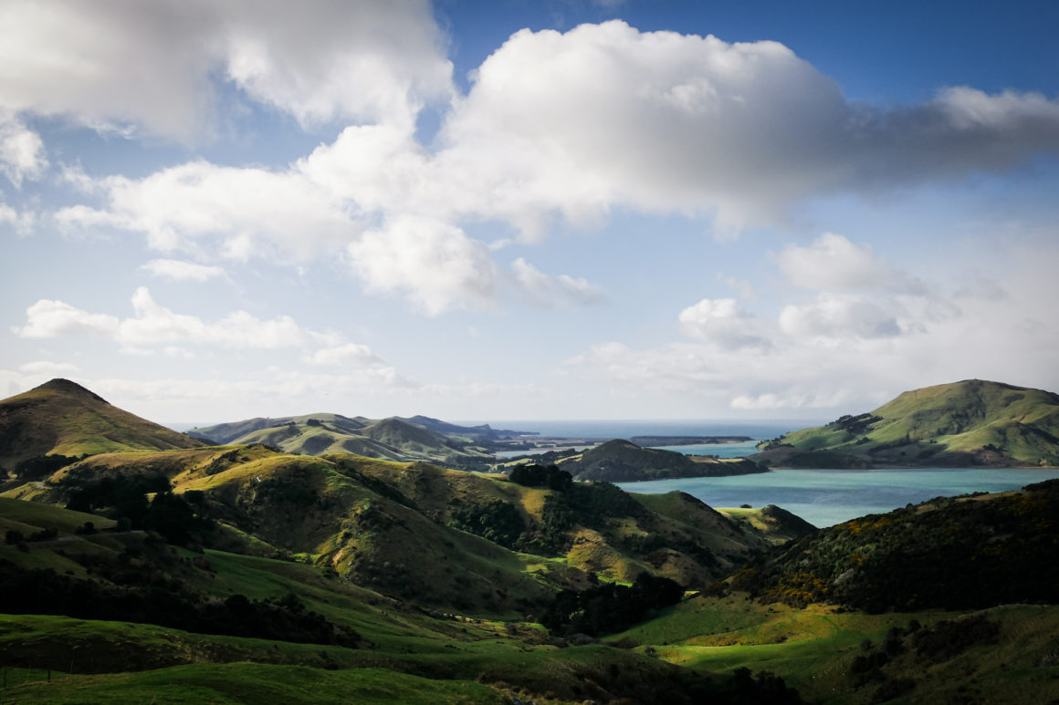 Otago, Île du Sud, Nouvelle-Zélande © Claire Blumenfeld