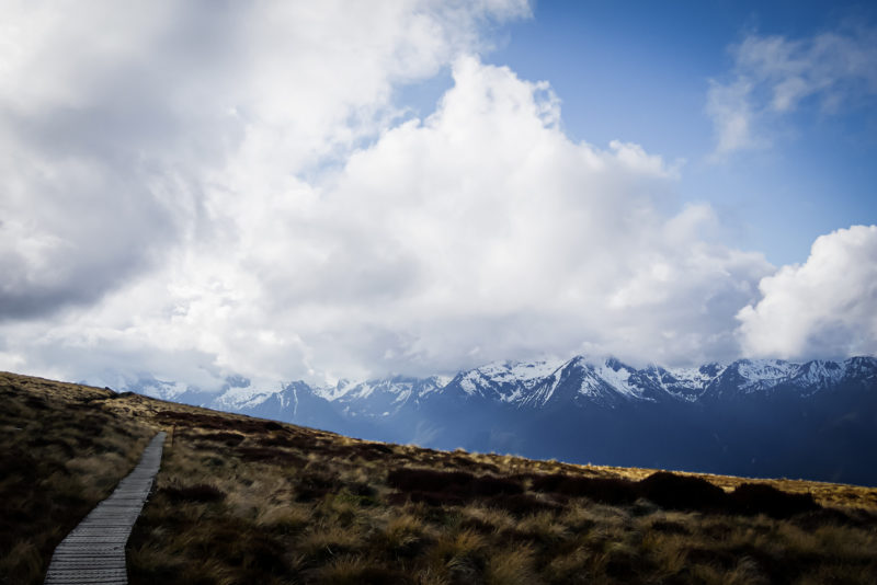 Kepler Track in Fiordland, South Island, New Zealand © Claire Blumenfeld