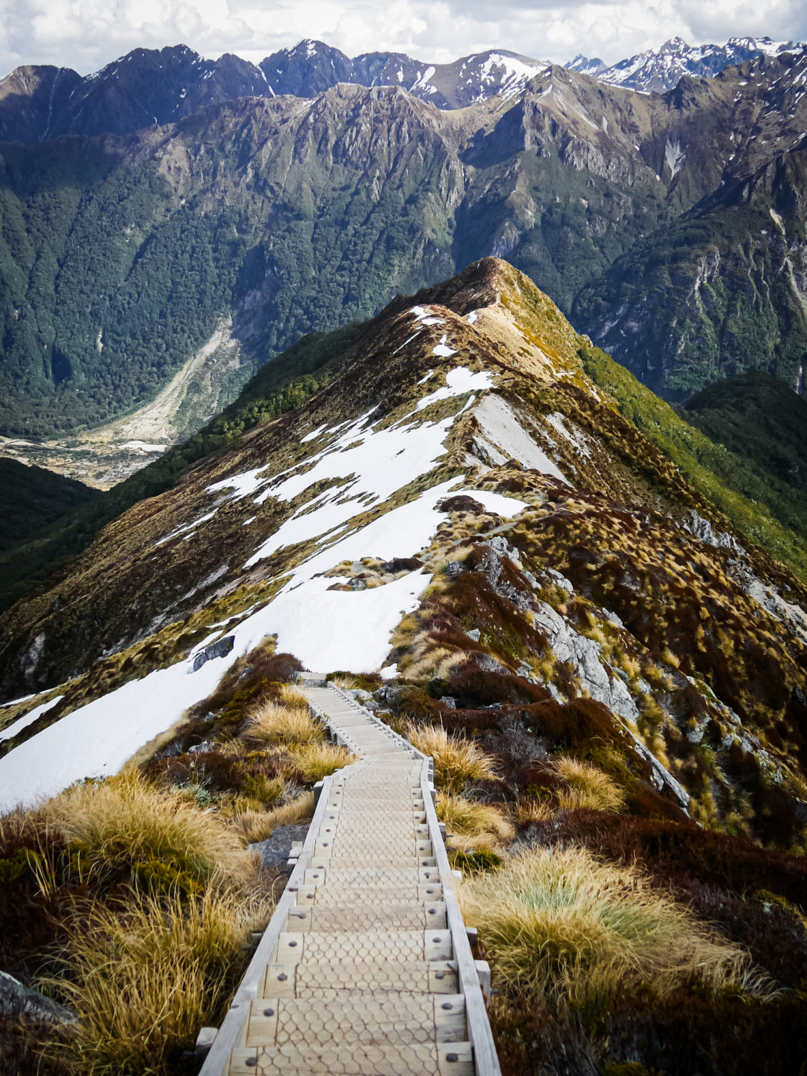Kepler Track dans le Fiordland, Île du Sud, Nouvelle-Zélande © Claire Blumenfeld