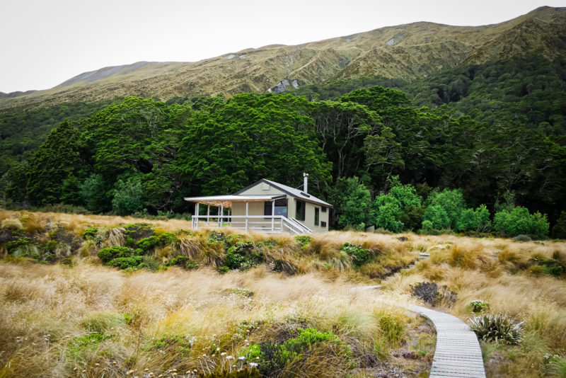 Fiordland, Île du Sud, Nouvelle-Zélande © Pauline