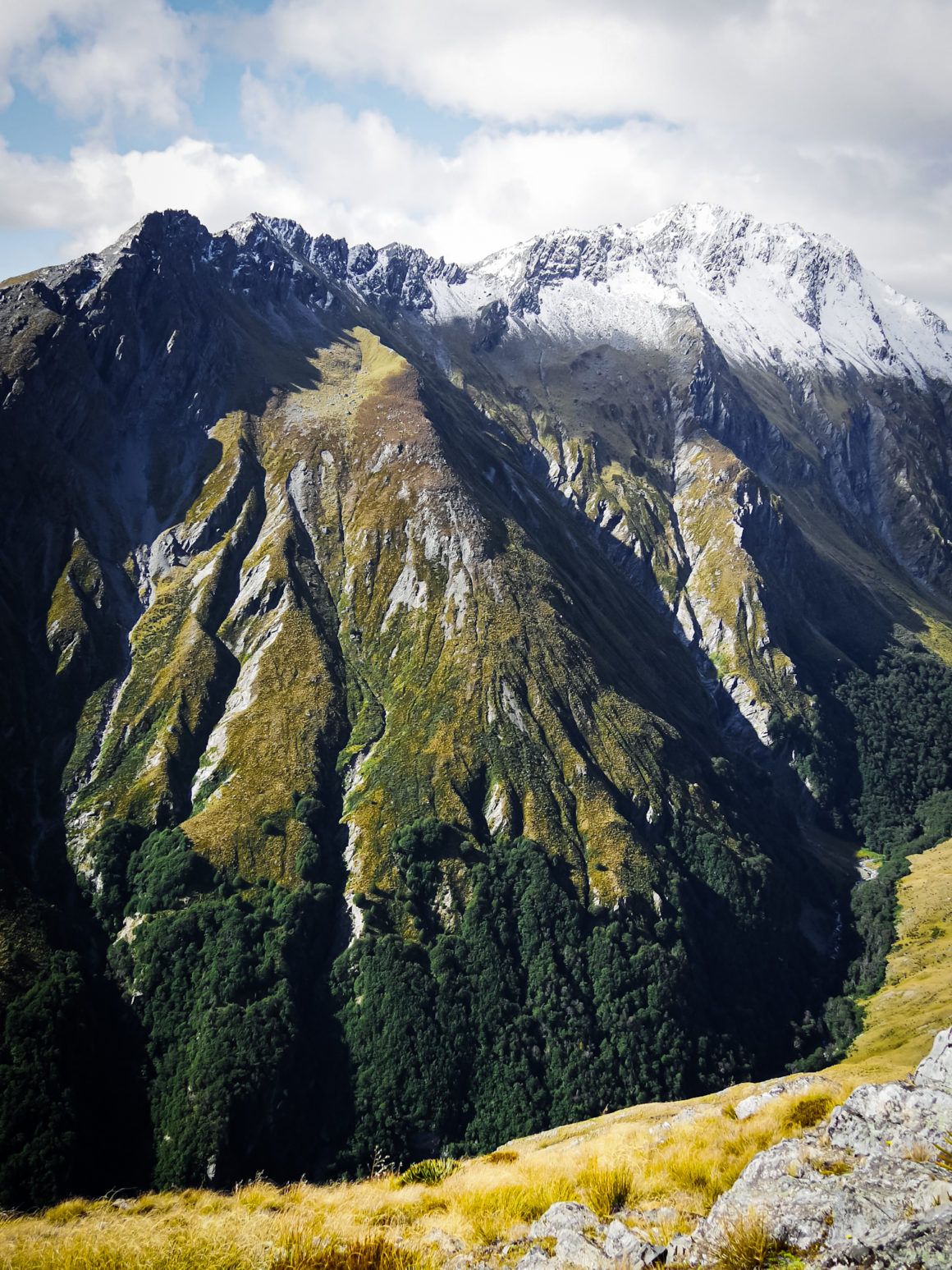 Mount Judah Track in Otago, South Island, New Zealand © Claire Blumenfeld