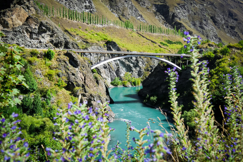 Queenstown valley, South Island, New Zealand © Claire Blumenfeld