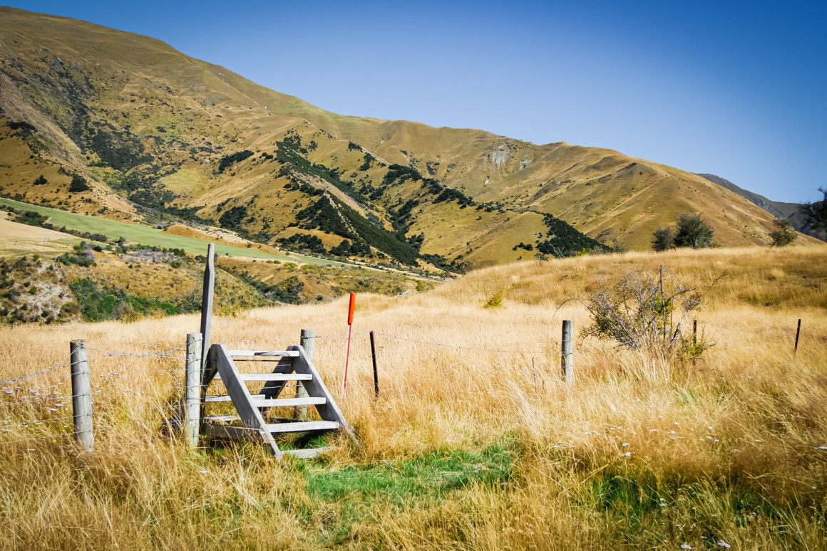Skyline Track, Wanaka on South Island, New Zealand © Claire Blumenfeld