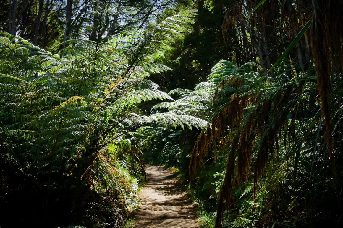 Abel Tasman Track sur l'Île du Sud, Nouvelle-Zélande © Claire Blumenfeld