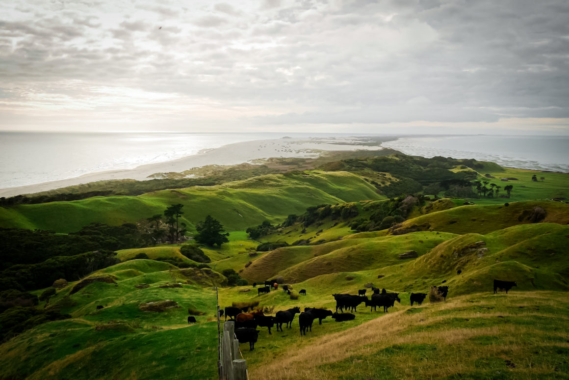 Farewell Spit, région Tasman sur Île du Sud, Nouvelle-Zélande © Claire Blumenfeld