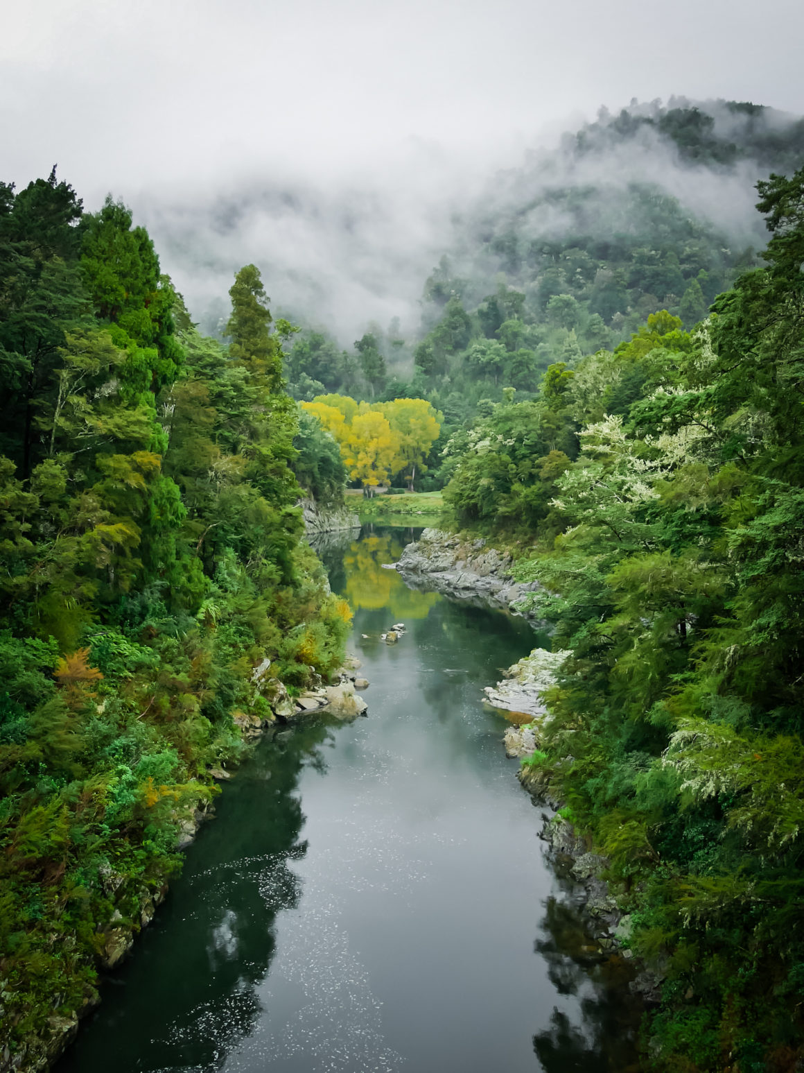 Marlborough region, South Island of New Zealand © Claire Blumenfeld