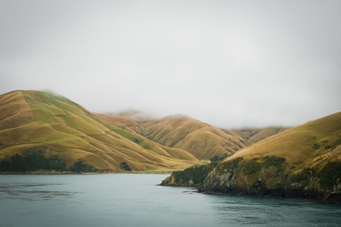 Marlborough Sounds, South Island of New Zealand © Claire Blumenfeld