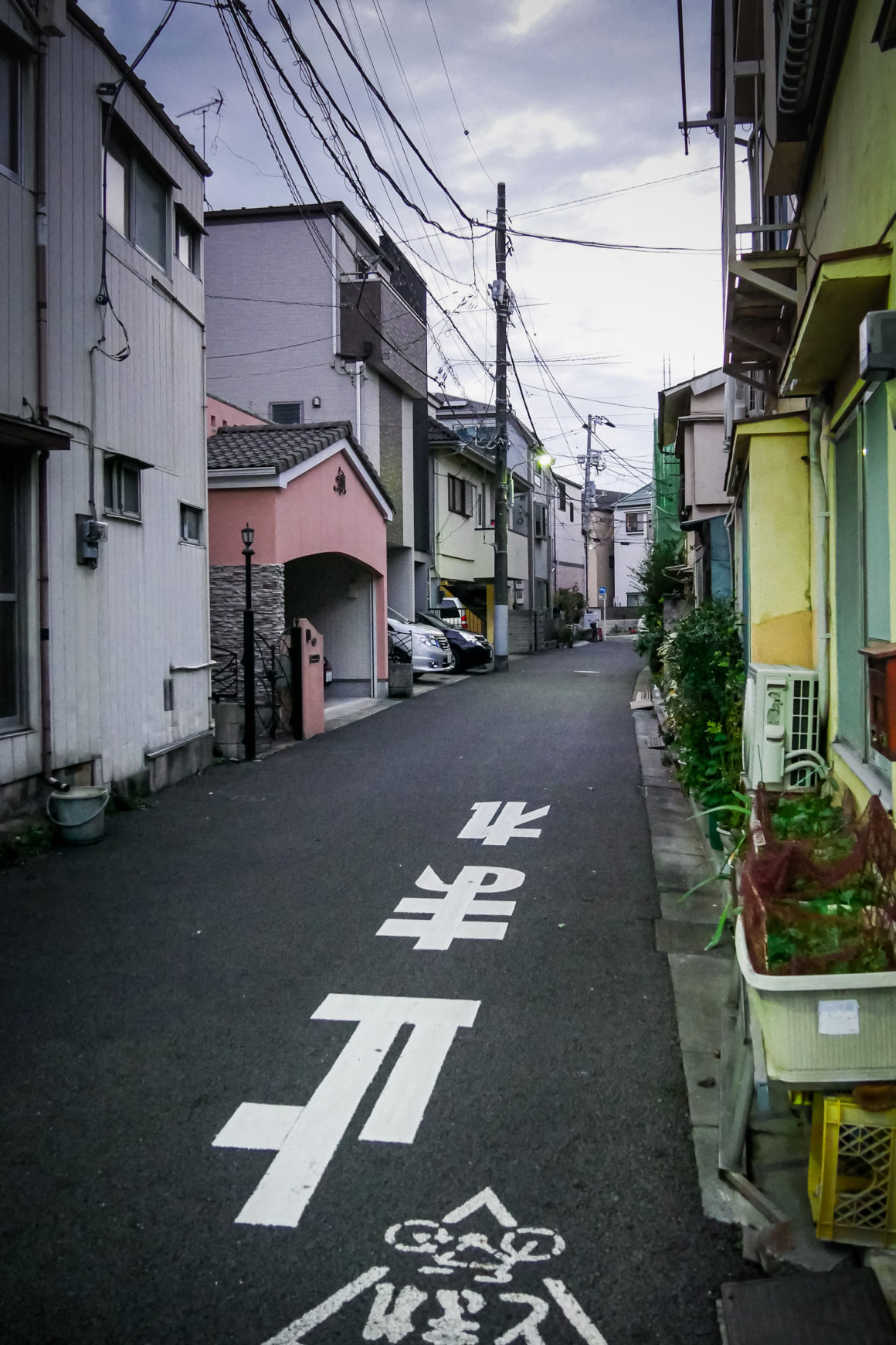 Arakawa in Tokyo, Honshu, Japan © Claire Blumenfeld
