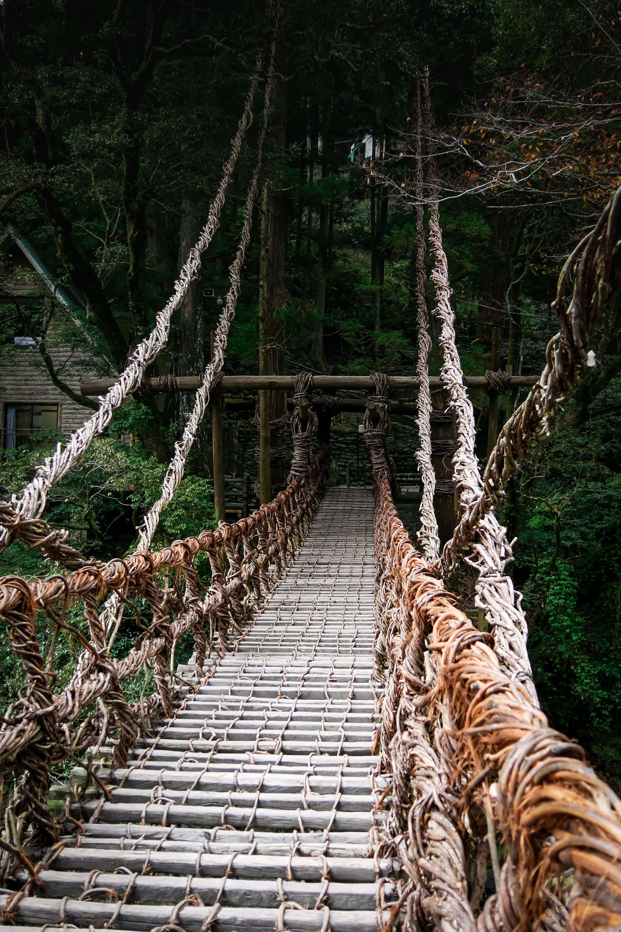 Iya valley, Shikoku, Japan © Claire Blumenfeld