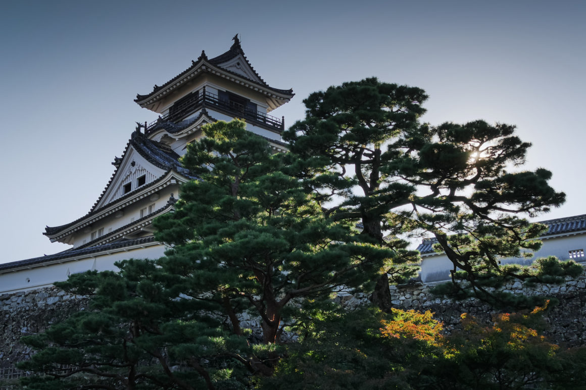 Kôchi, Shikoku, Japon © Claire Blumenfeld