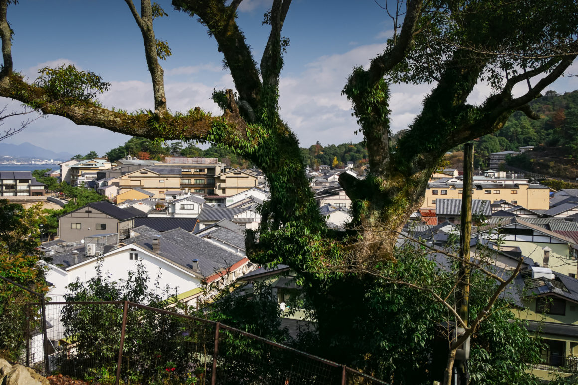 Miyajima, Japon © Claire Blumenfeld