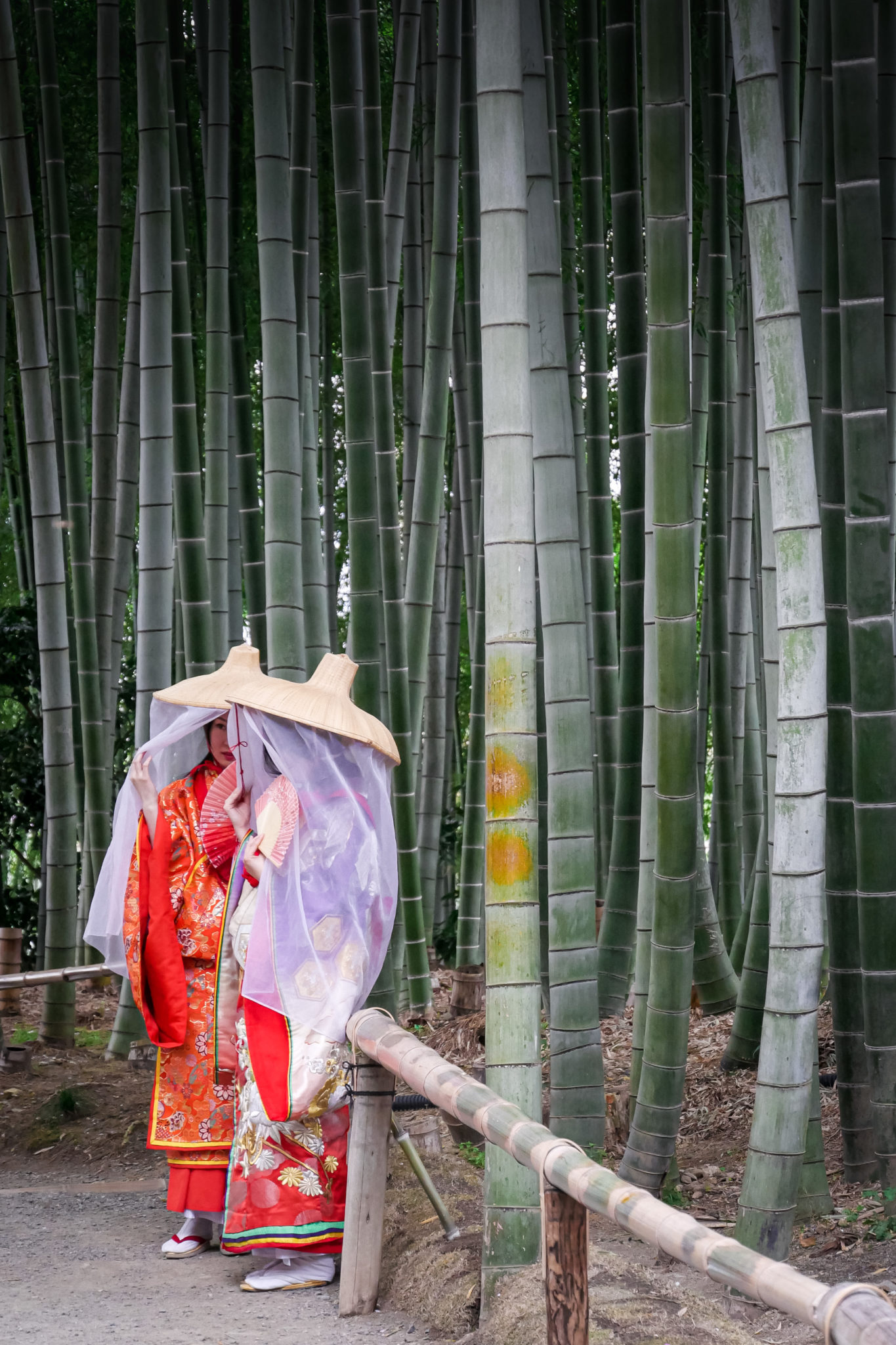 Kyoto, Honshu, Japon © Claire Blumenfeld