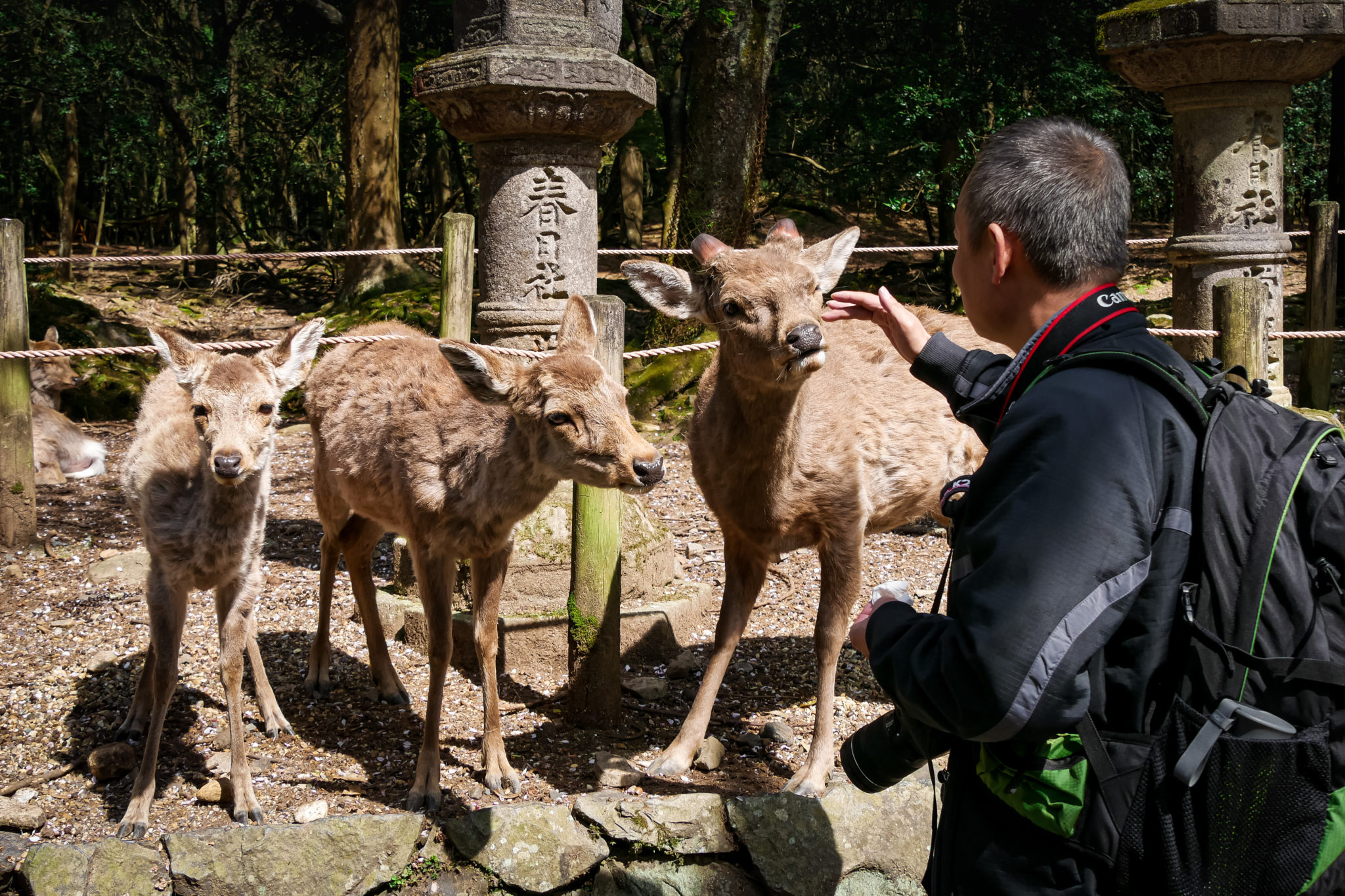 Nara, Honshu, Japon © Claire Blumenfeld