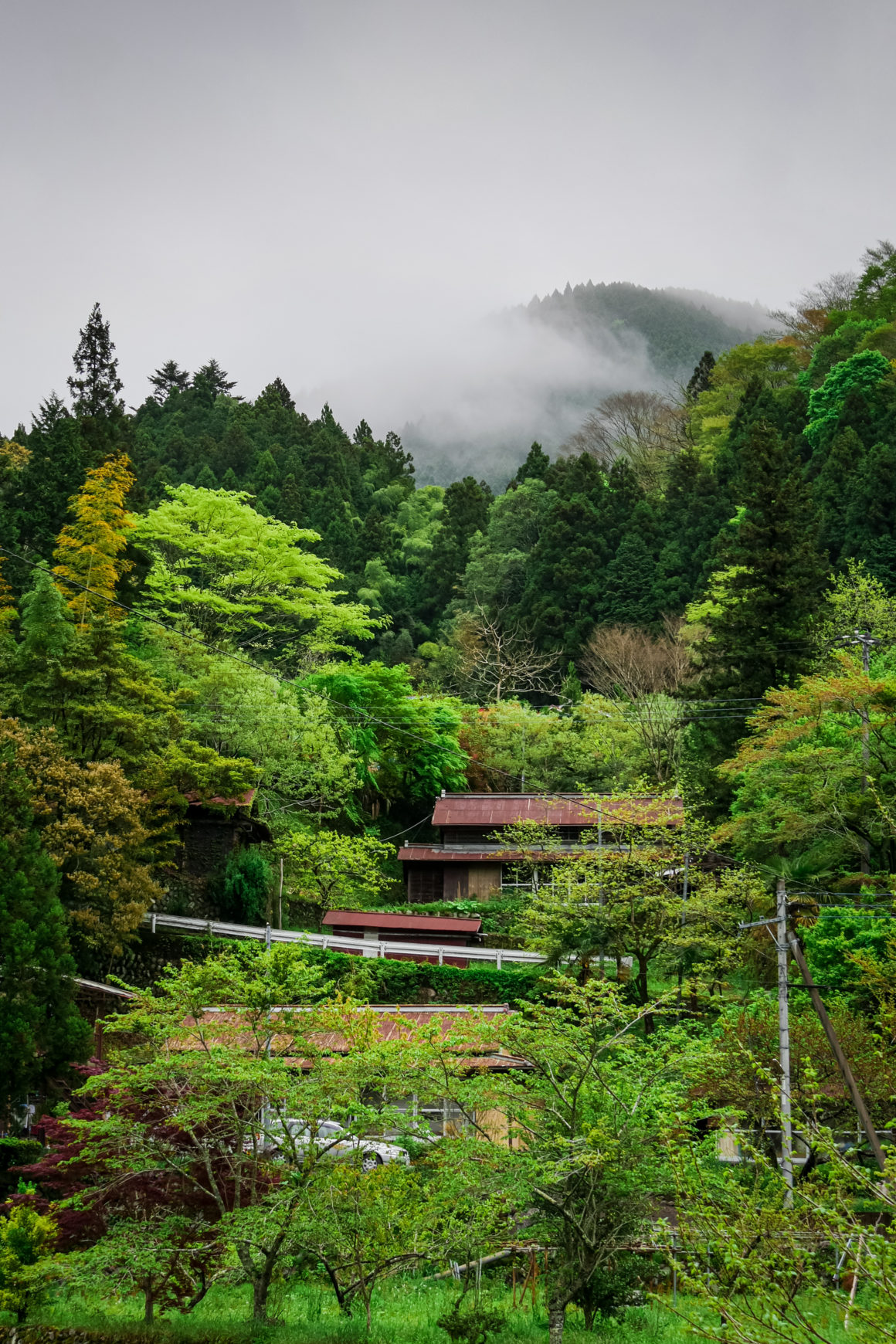 Goka farm valley, Honshu, Japan © Claire Blumenfeld