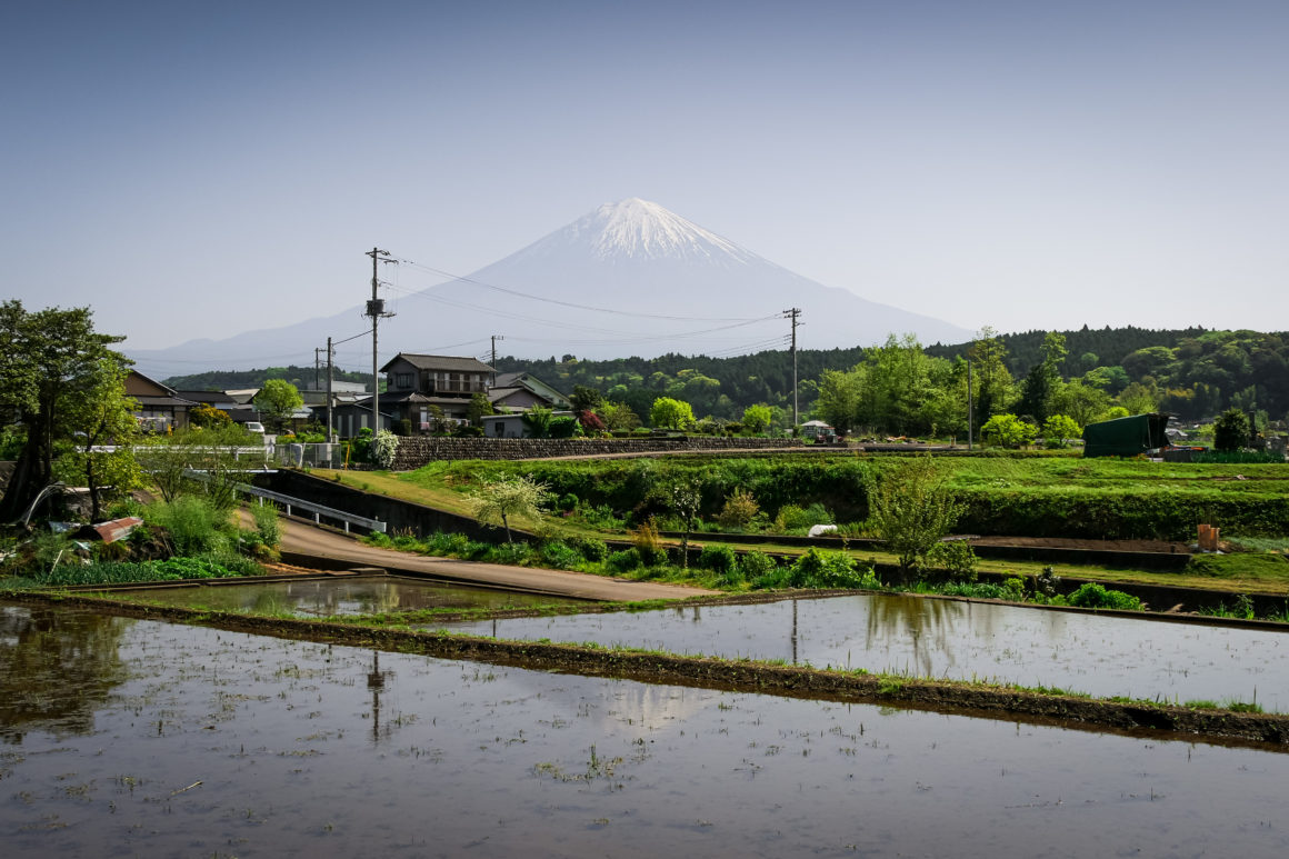 Environs de Goka farm, Honshu, Japon © Claire Blumenfeld