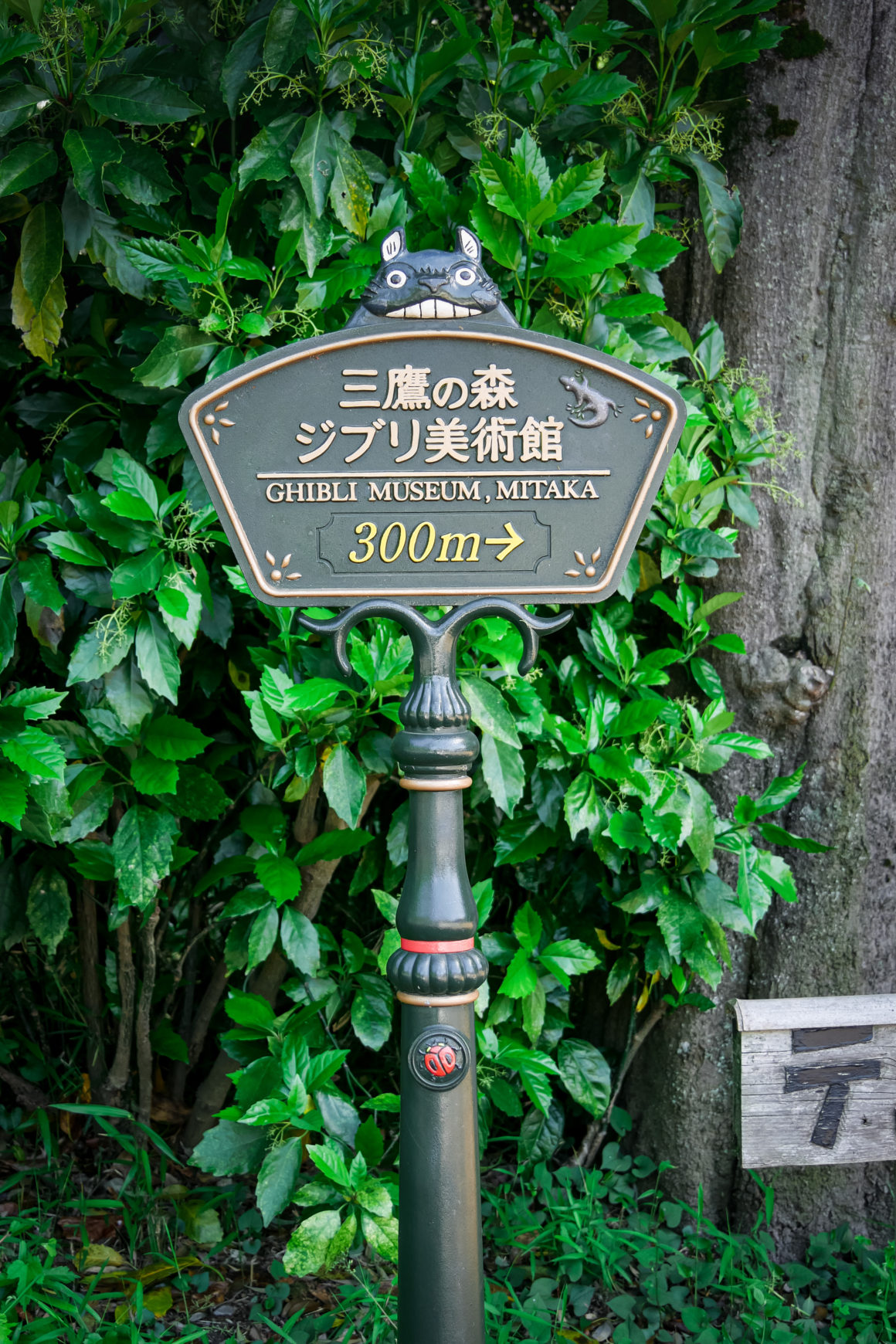 Mitaka, Honshu, Japan © Claire Blumenfeld